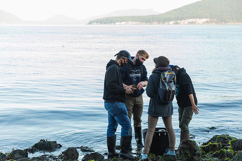 A group of students from the MACS program working together on a rocky beach at the shore's edge